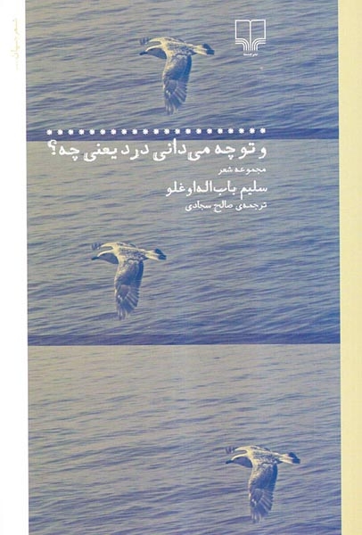 و تو چه می دانی درد یعنی چه