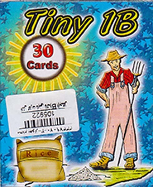 TINY TALK 1B FLASH CARDS