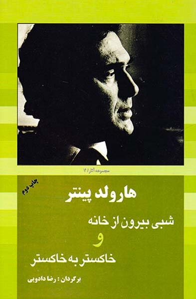 هارولد پینتر4(شبی بیرون از خانه)