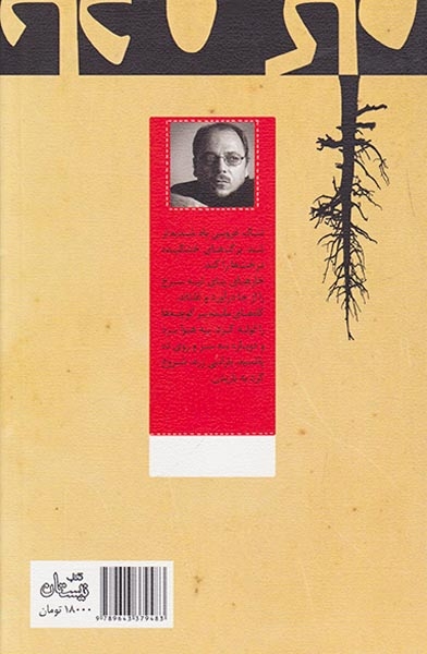 باد و کاه