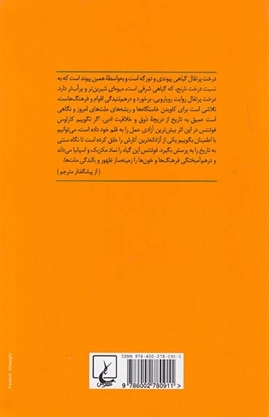 درخت پرتقال