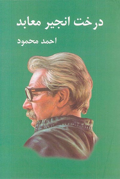 درخت انجیر معابد2جلدی(معین)محمود
