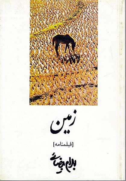 زمین