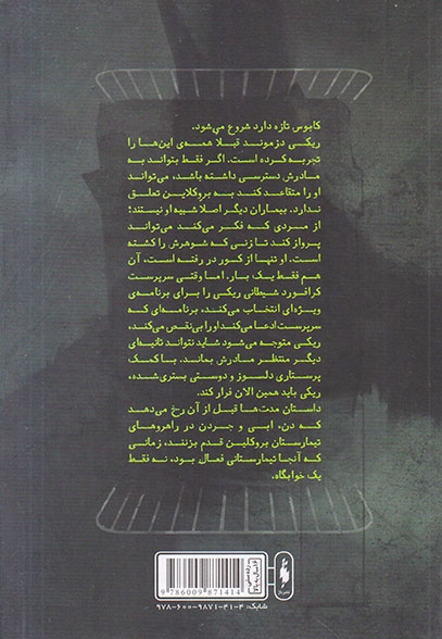 مجموعه تیمارستان فرار از تیمارستان