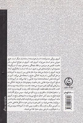 آشپز و آشپزخانه