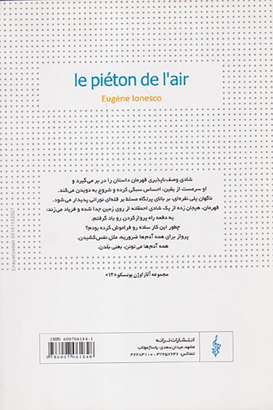 پیاده در هوا