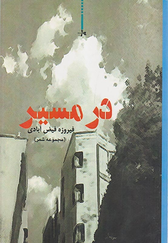در مسیر