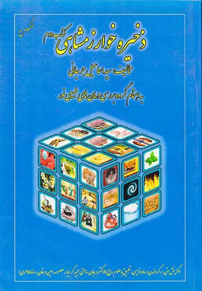 ذخیره خوارزمشاهی کتاب دوم