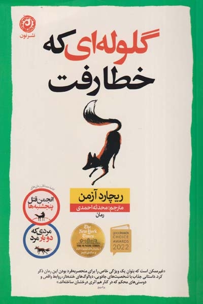 گلوله ای که خطا رفت(نشرنون)احمدی