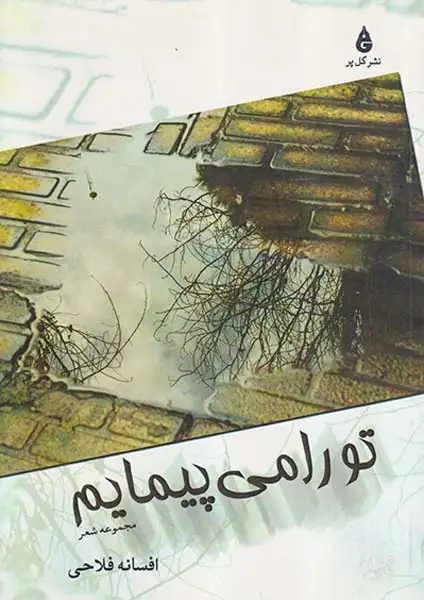 تو را می پیمایم(گل پر)فلاحی