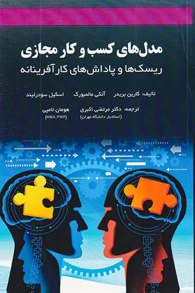 مدل های کسب و کار مجازی(ریسک ها و پاداش های کارآفرینانه)