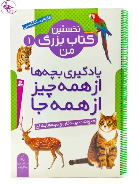 نخستین کتاب بزرگ من1(حیوانات پرندگان و بچه هایشان)قدیانی