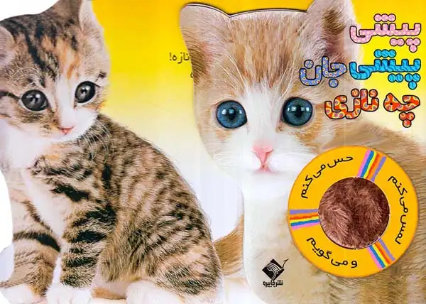 لمس می کنم حس می کنم و می گویم پیشی پیشی جان چه نازی