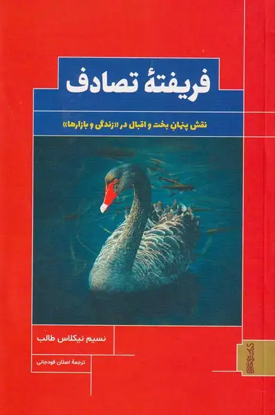 فریفته تصادف