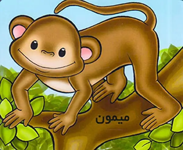 آموزش حیوانات وحشی میمون(خانه ادبیات)