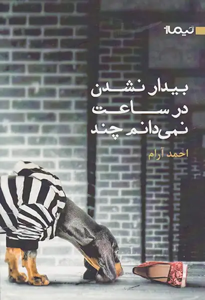 بیدار نشدن در ساعت نمی دانم چند(نیماژ)آرام