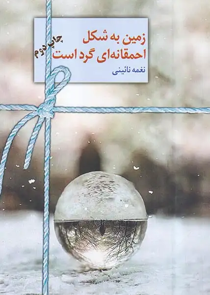 زمین به شکل احمقانه ای گرد است