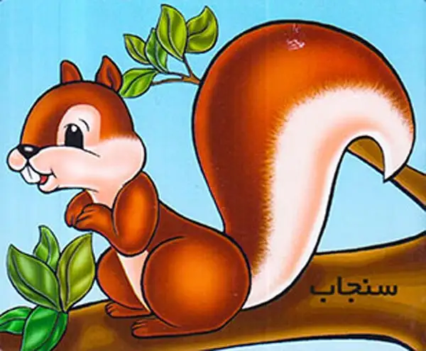 آموزش حیوانات وحشی سنجاب(خانه ادبیات)