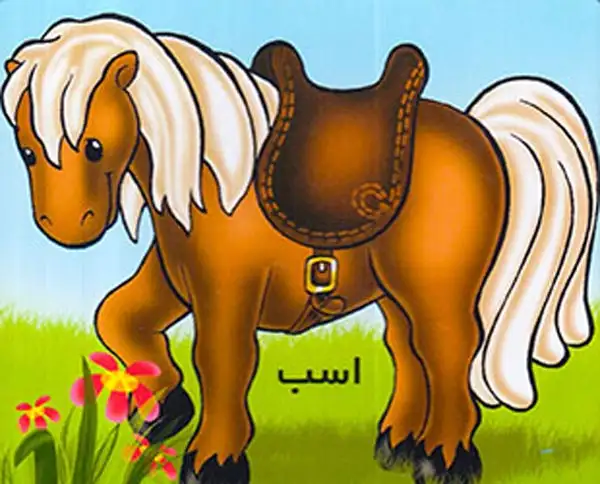 آموزش حیوانات اهلی اسب(خانه ادبیات)