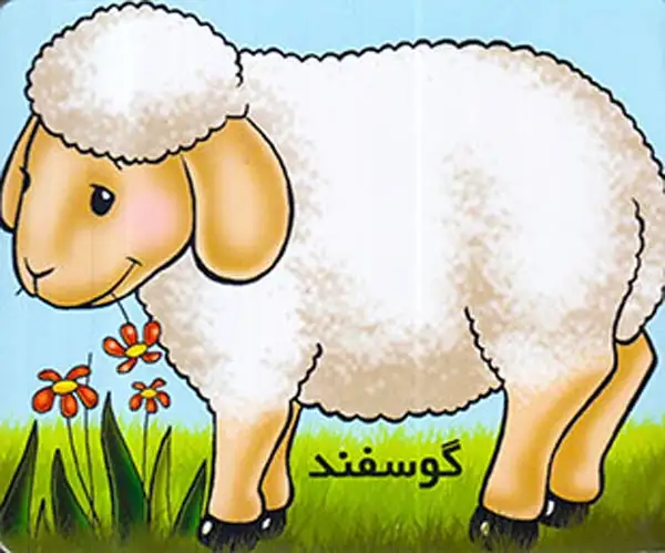 آموزش حیوانات اهلی گوسفند(خانه ادبیات)