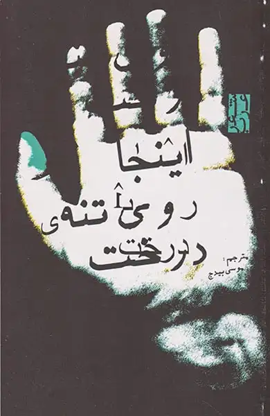 اینجا روی تنه ی درخت