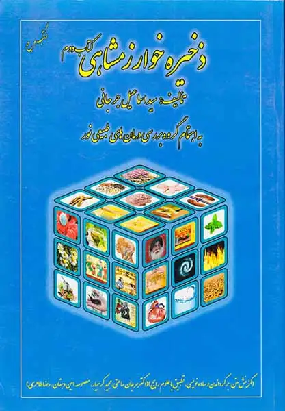 ذخیره خوارزمشاهی کتاب دوم