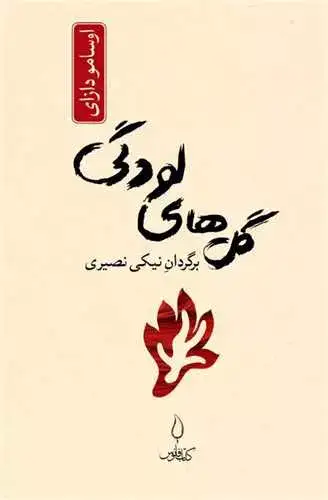 گل های لودگی(کتاب فانوس)نصیری