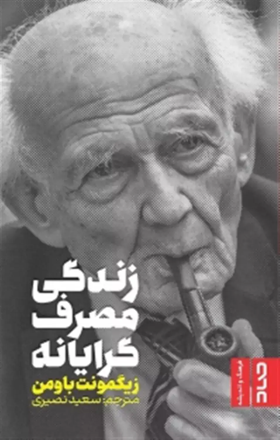 زندیگ مصرف گرایانه(نشرصاد)نصیری