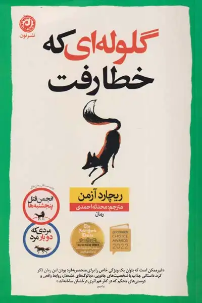 گلوله ای که خطا رفت(نشرنون)احمدی