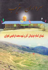 سرداران غریب
