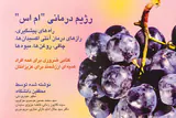 رژیم درمانی ام اس