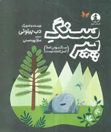 سنگ پیر