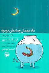 ماه مهمان چشمان تو بود