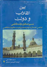 بین انقلاب و دولت
