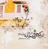 این کوچه را از روی رودخانه نوشته ام