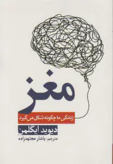 مغز(زندگی ما چگونه شکل می گیرد)