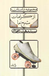دیوان محاسبات از کرامات شیخ ما