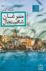 مرغان شکسته بال