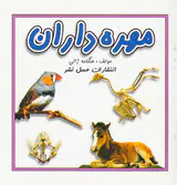 مهره داران