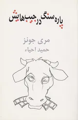 پاره سنگ در جیب هایش