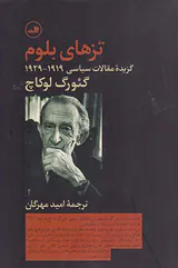 تزهای بلوم (گزیده مقالات9929-1919)