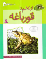 داستان دگرگونی جلد چهارم از تخم تا قورباغه
