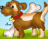 آموزش حیوانات اهلی سگ