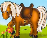 آموزش حیوانات اهلی اسب