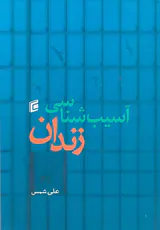 آسیب شناسی زندان