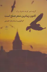 اکنون زیباترین شعر صالح است