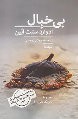 بی خیال