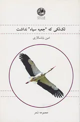 لک لکی که جعبه سیاه نداشت