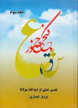 گنج حضور جلد سوم (تفسیر عشق از دیدگاه مولانا)