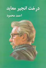 درخت انجیر معابد2جلدی